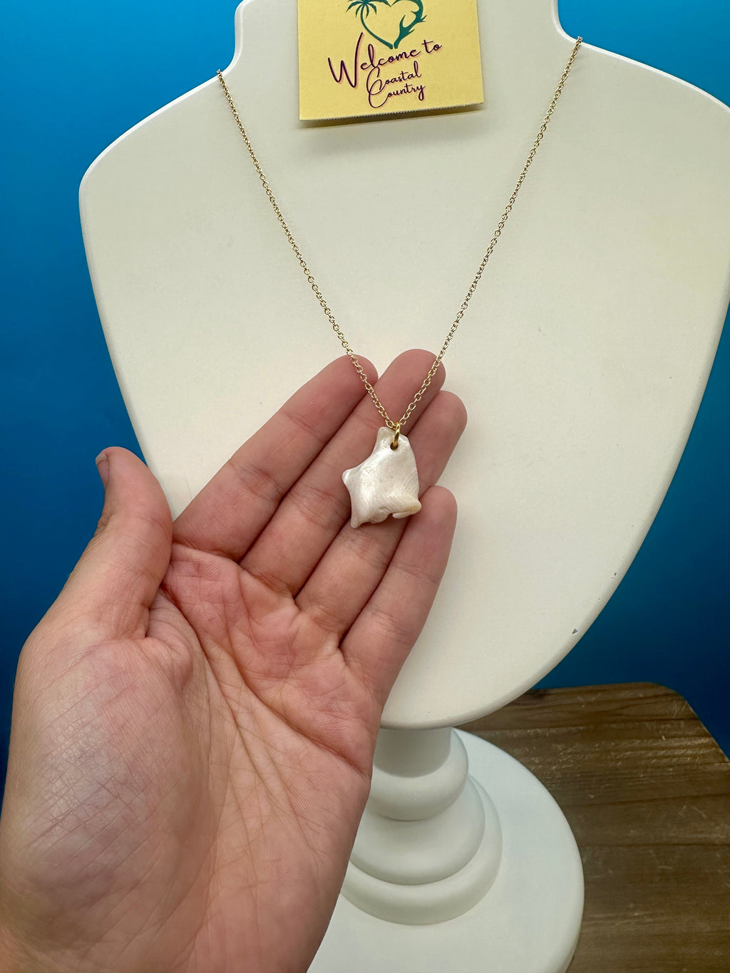 Astrea Undosa Shell Necklace