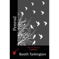Penrod - Paperback