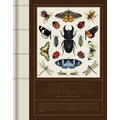 Insectile Inspiration: Insects in Art and Illustration - Hardcover