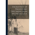 Engravings of Prehistoric Specimens From Michigan, U.S.A. - Paperback
