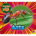 Ants - Library Binding