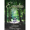 Exodus: 40 Lessons From The Wilderness - Paperback