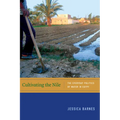 Cultivating the Nile: The Everyday Politics of Water in Egypt - Paperback