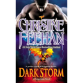 Dark Storm - Mass Market Paperbound