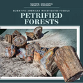 Petrified Forests - Library Binding