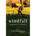 Windfall - Paperback