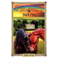 Dark Fire: Sometimes Horses Need a Little Magic - Paperback