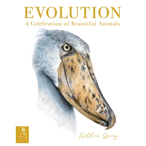 Evolution: A Celebration of Beautiful Animals - Hardcover