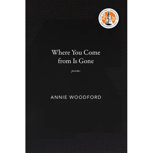 Where You Come from Is Gone - Paperback