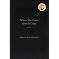 Where You Come from Is Gone - Paperback