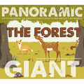 The Forest: A Poster Book to Understand Everything about the World - Hardcover