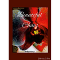 Beautiful Chaos: BriiPoetry - Paperback