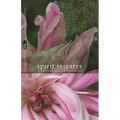 Spirit Seizures: Stories - Paperback