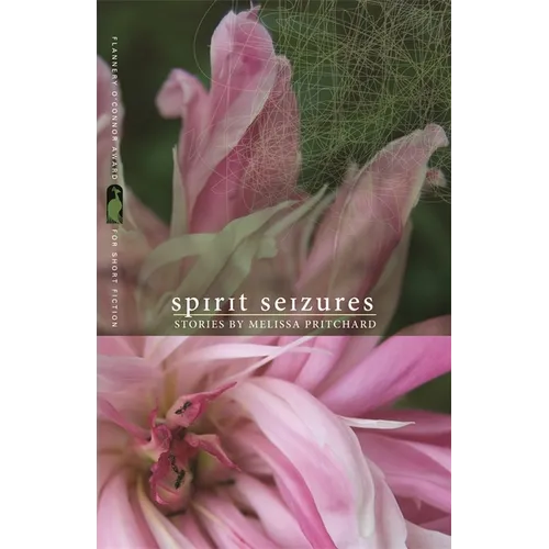 Spirit Seizures: Stories - Paperback