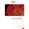 Protea production - Paperback