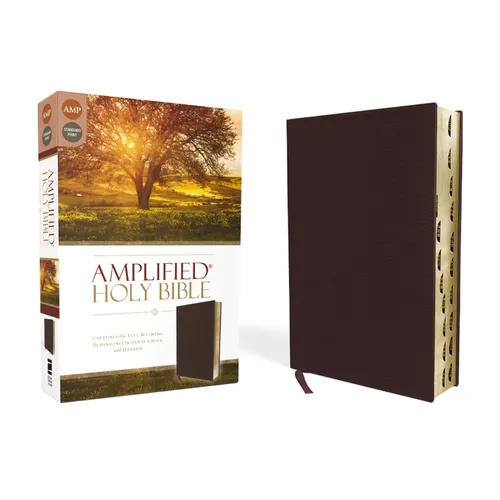 Amplified-Am: Captures the Full Meaning Behind the Original Greek and Hebrew - Bonded Leather