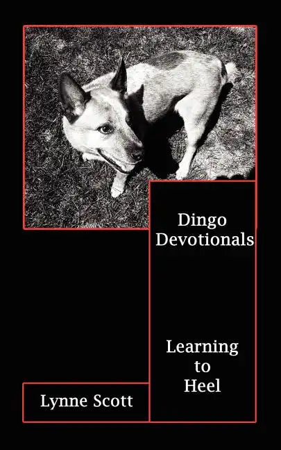 Dingo Devotionals: Learning to Heel - Paperback
