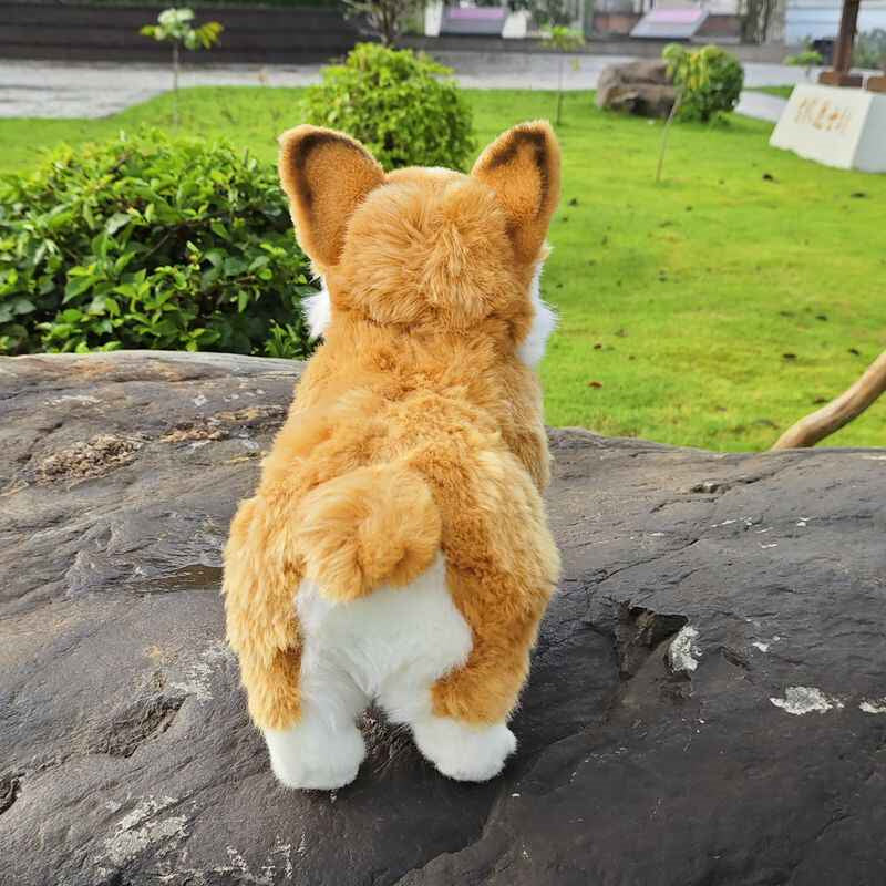 Cute Welsh Short-legged Dog With Plush Toys