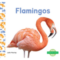 Flamingos - Library Binding