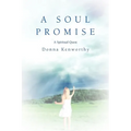 A Soul Promise: A Spiritual Quest - Paperback