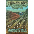 Chinaberry - Paperback
