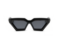Sunglasses: Style 1900