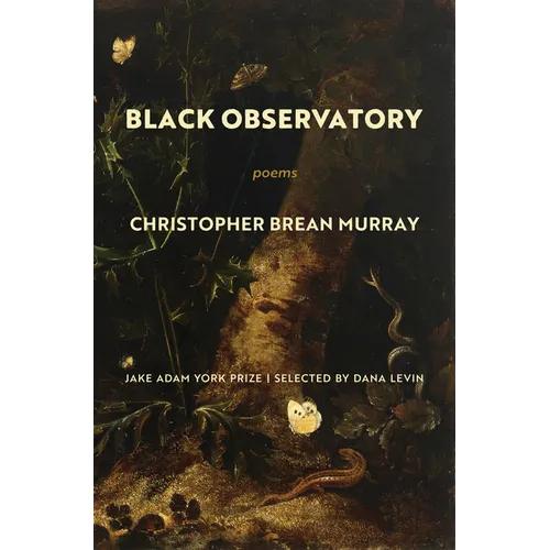 Black Observatory: Poems - Paperback