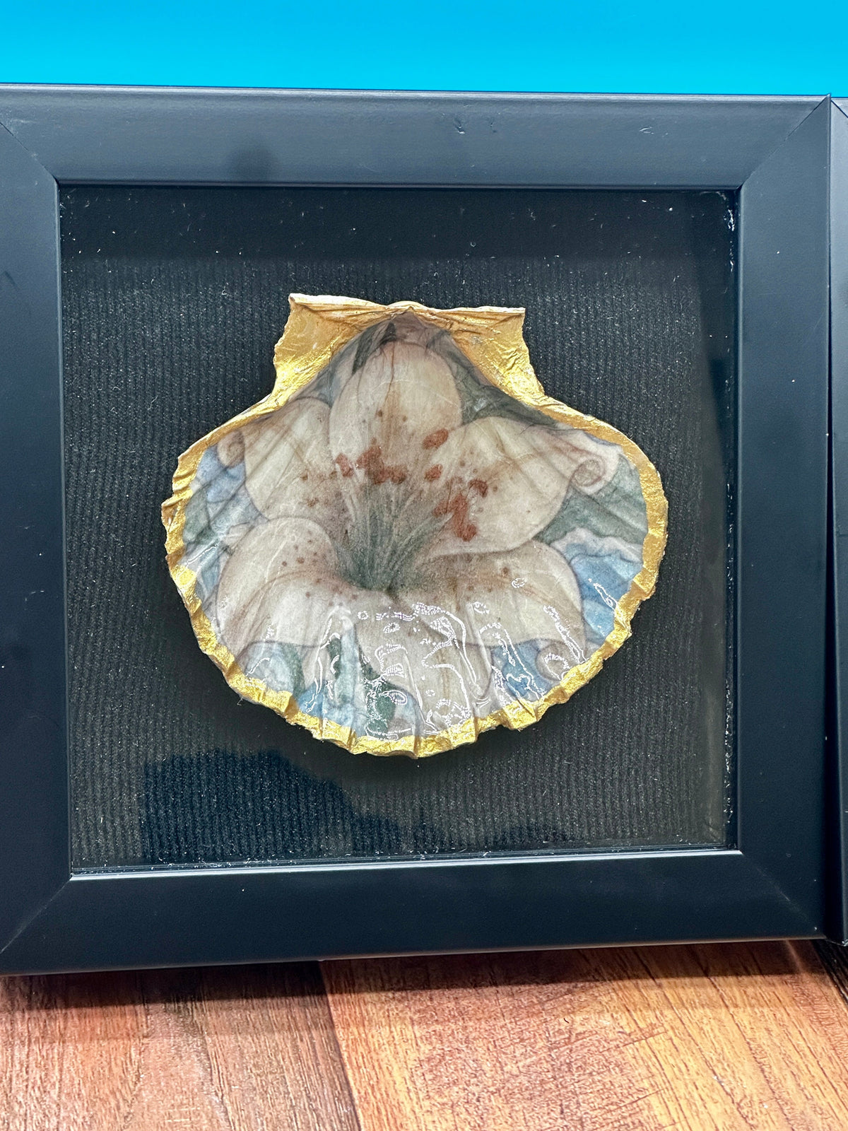 Decoupaged Scallop Shell Black Shadow Box Wall Art