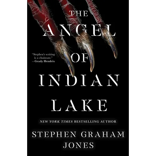 The Angel of Indian Lake - Hardcover