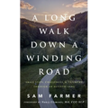 A Long Walk Down a Winding Road: Small Steps, Challenges, and Triumphs Through an Autistic Lens - Paperback