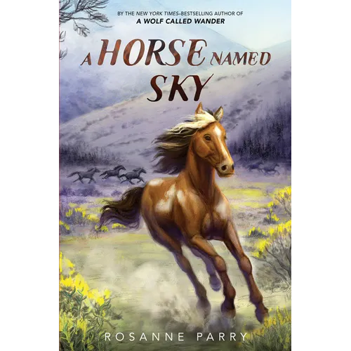 A Horse Named Sky - Hardcover