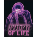 Anatomy of Life - Paperback