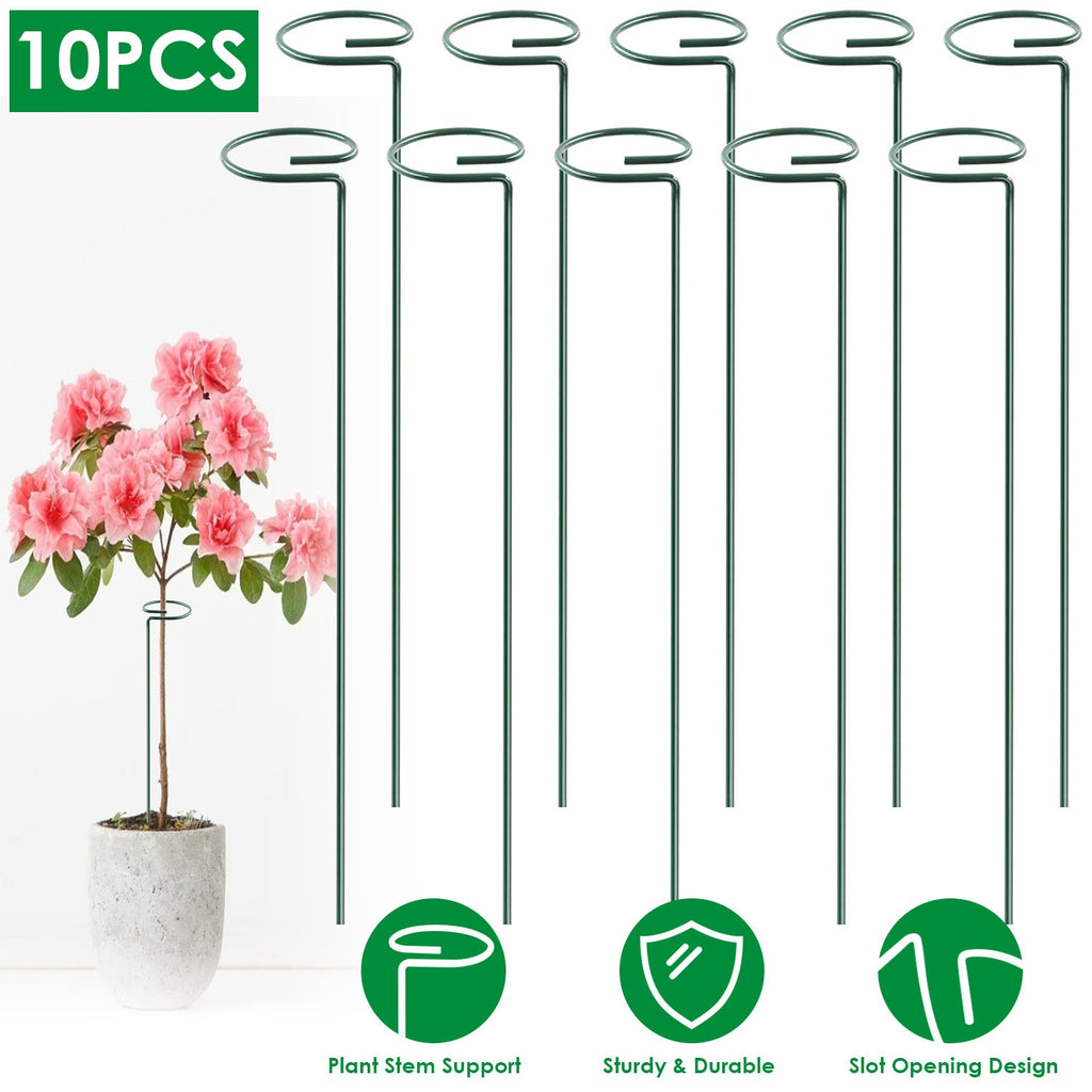Garden Plant Support Stakes for Single Stem