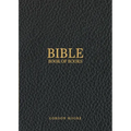 Bible Book of Books - Paperback
