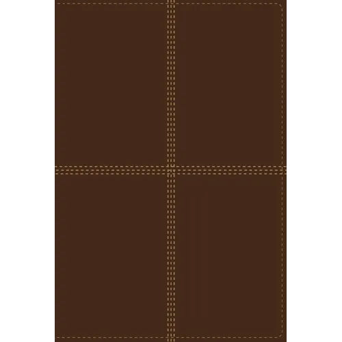 Bilingual Bible-PR-NIV/Rvr 1960 - Imitation Leather