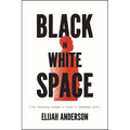Black in White Space: The Enduring Impact of Color in Everyday Life - Paperback