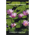 A Glance at Indian Economy - Paperback