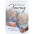 The Unfinished Journey: The Greens and McGills - Paperback
