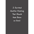 I Survived Another Meeting That Should Have Been An Email: Funny Office Gifts For Coworker - Paperback