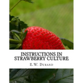 Instructions in Strawberry Culture: or, How To Grow Strawberries - Paperback