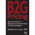 B2G Pricing: Best Practices in Business-to-Government Pricing Strategies - Paperback