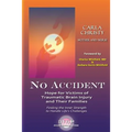 No Accident: Hope for Victims of Traumatic Brain Injury and Their Families - Paperback