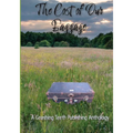 The Cost of Our Baggage - Paperback