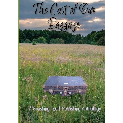The Cost of Our Baggage - Paperback