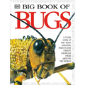 Big Book of Bugs - Hardcover