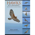 Hawks at a Distance: Identification of Migrant Raptors - Paperback