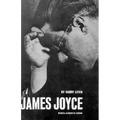 James Joyce: A Critical Introduction - Paperback
