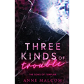 Three Kinds of Trouble - Paperback