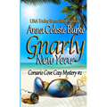 Gnarly New Year! Corsario Cove Cozy Mystery #2 - Paperback