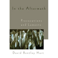 In the Aftermath: Provocations and Laments - Paperback